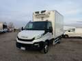 Iveco Daily 60c15 PM isotermico -20° Bianco - thumbnail 2