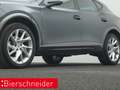 CUPRA Formentor 1.5 TSI DSG AHK KAMERA NAVI LED SHZ Grau - thumbnail 33