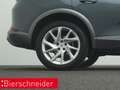 CUPRA Formentor 1.5 TSI DSG AHK KAMERA NAVI LED SHZ Grau - thumbnail 29