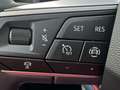 SEAT Arona 1.0 TSI S&S Style Special Edition 95 Blanc - thumbnail 13