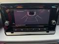 SEAT Arona 1.0 TSI S&S Style Special Edition 95 Blanc - thumbnail 8