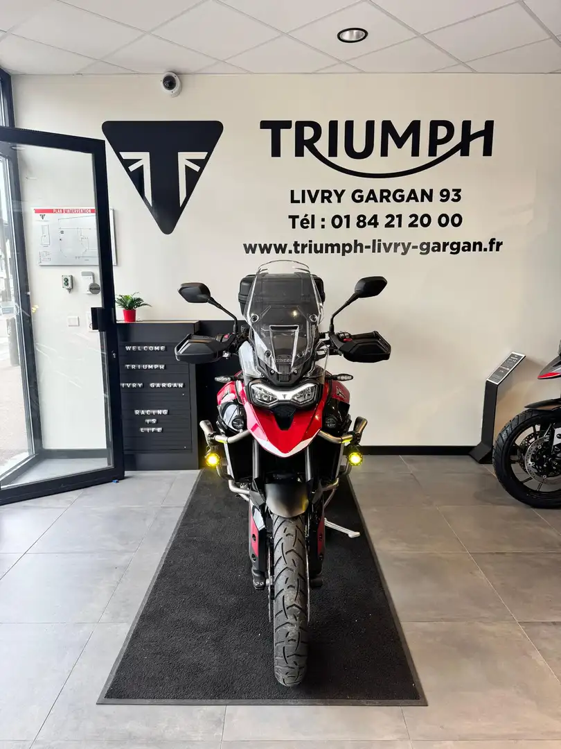 Triumph Tiger 900 - 1