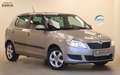 Skoda Fabia 1.2TSI 86PS Ambition Family PDC SHZ 1.Hand Beige - thumbnail 1