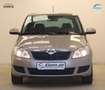 Skoda Fabia 1.2TSI 86PS Ambition Family PDC SHZ 1.Hand Beige - thumbnail 2