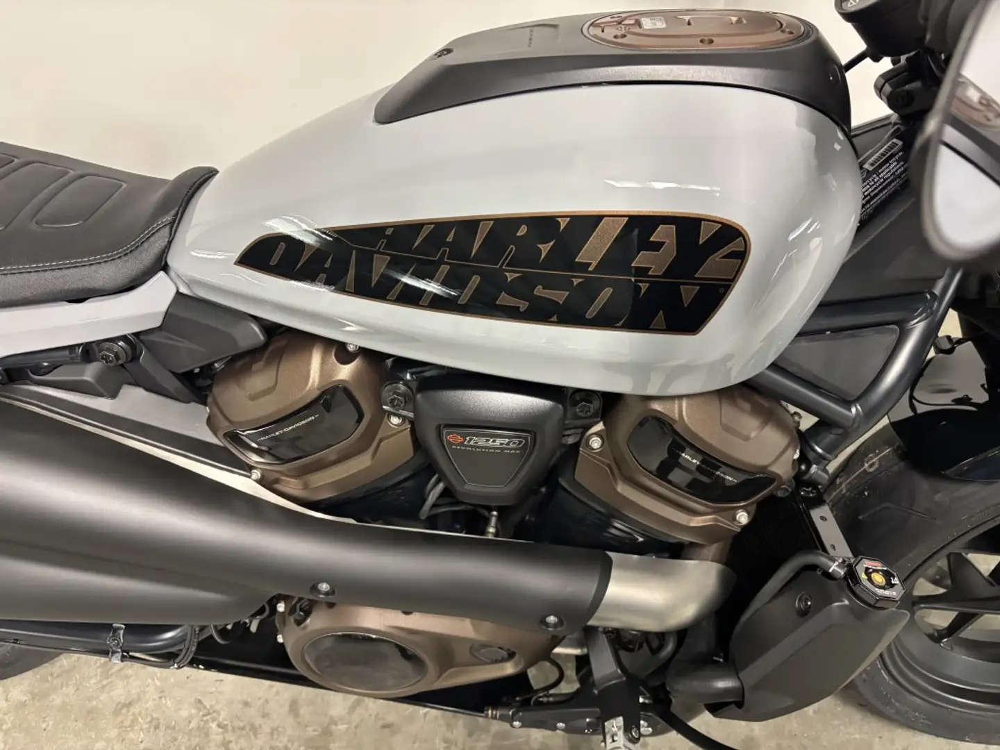 Harley-Davidson Sportster RH1250S SPORTSTER S Grijs - 2