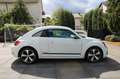 Volkswagen Beetle Lim. Club BMT **XENON/NAVI/SHZ** Weiß - thumbnail 6