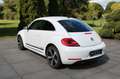 Volkswagen Beetle Lim. Club BMT **XENON/NAVI/SHZ** Weiß - thumbnail 4