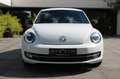 Volkswagen Beetle Lim. Club BMT **XENON/NAVI/SHZ** Weiß - thumbnail 5