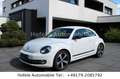 Volkswagen Beetle Lim. Club BMT **XENON/NAVI/SHZ** Weiß - thumbnail 1