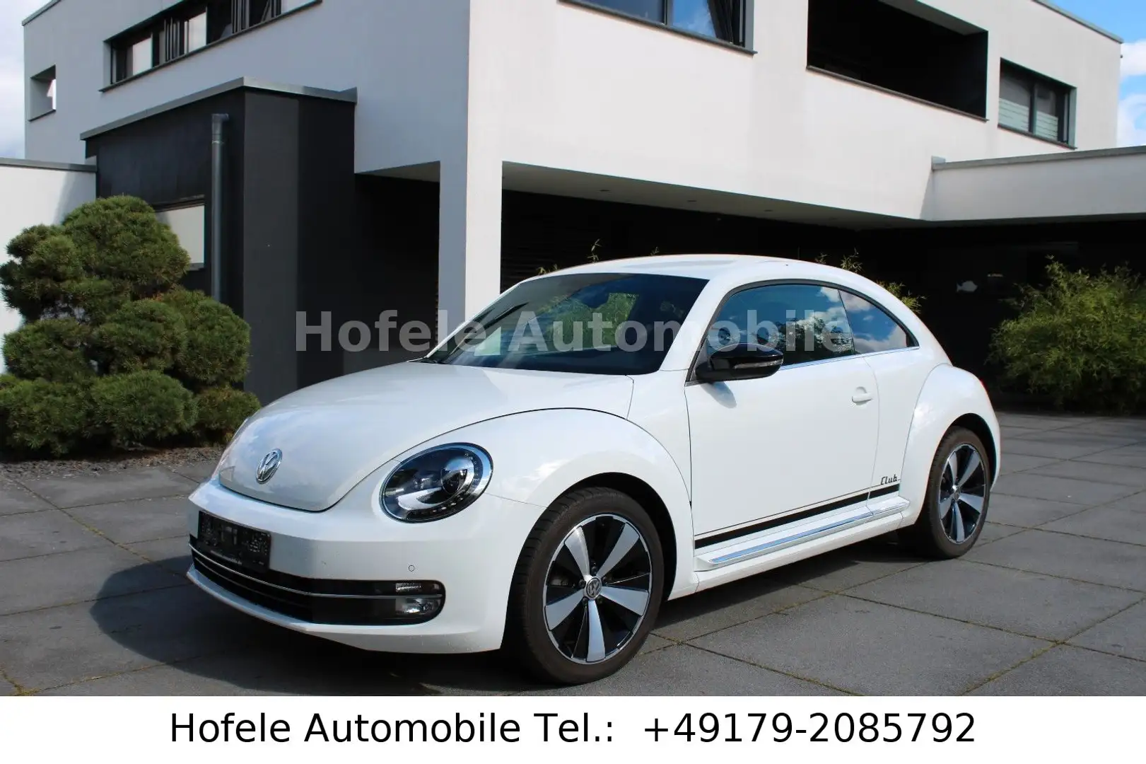 Volkswagen Beetle Lim. Club BMT **XENON/NAVI/SHZ** Weiß - 1