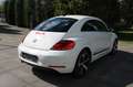 Volkswagen Beetle Lim. Club BMT **XENON/NAVI/SHZ** Weiß - thumbnail 3