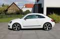 Volkswagen Beetle Lim. Club BMT **XENON/NAVI/SHZ** Weiß - thumbnail 8