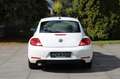Volkswagen Beetle Lim. Club BMT **XENON/NAVI/SHZ** Weiß - thumbnail 7