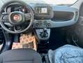 Fiat Panda 1.0 GSE Hybrid*DAB*City-Paket*PDC Weiß - thumbnail 11
