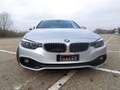 BMW 420 Sport Line 420 d Grau - thumbnail 2