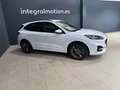 Ford Kuga 1.5 EcoBoost ST-Line X FWD 150 Blanco - thumbnail 6