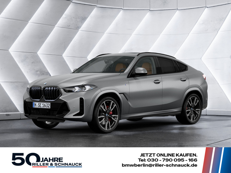 BMW X6 xDrive 40d M-Sport STANDHZ LED PANO 360°
