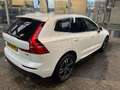 Volvo XC60 2.0 T8 TE AWD Mo.Pro Fehér - thumbnail 11