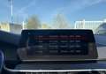 BMW 530 SERIE (G30) 530EA IPERFORMANCE 252CH LUXURY Blau - thumbnail 16