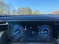 Hyundai TUCSON Edition 30+ MHEV AC/A LED Rü.CAM PDC SHZ LHZ DAB Blauw - thumbnail 12