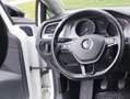 Volkswagen Golf Golf Trendline 1,2 TSI Weiß - thumbnail 13