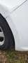 Volkswagen Golf Golf Trendline 1,2 TSI Weiß - thumbnail 17