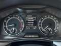 Skoda Scala 1.5 TSI Style +CARPLAY+DAB+SHZ+KESSY+ Grün - thumbnail 13