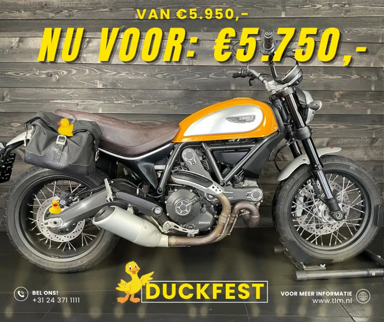 Ducati Scrambler Galben - 1