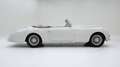Talbot Sonstige Lago T26 Graber '50 CH1009 Weiß - thumbnail 6
