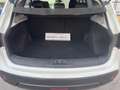 Nissan Qashqai Q+2 1.5dCi Acenta 4x2 Blanco - thumbnail 8