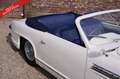 Oldtimer Delahaye 235 PRICE REDUCTION! Convertible by Antem. The 195 Weiß - thumbnail 49