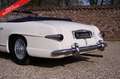 Oldtimer Delahaye 235 PRICE REDUCTION! Convertible by Antem. The 195 Weiß - thumbnail 18