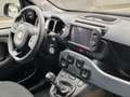 Fiat Panda 1.0 HYBRID Gris - thumbnail 7