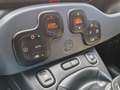 Fiat Panda 1.0 HYBRID Gris - thumbnail 9