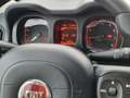 Fiat Panda 1.0 HYBRID Gris - thumbnail 19