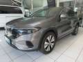 Mercedes-Benz EQA 250 + PTS Shz LED Ambi eHeck CarPlay RKam Grau - thumbnail 1