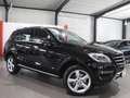 Mercedes-Benz ML 350 CDI BT 4M SPORT / SCHIEBEDACH / XENON Чорний - thumbnail 3