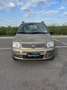 Fiat Panda NEOP. 1.4 Benz/Met. scadenza 08/2027 Bronze - thumbnail 2