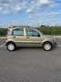 Fiat Panda NEOP. 1.4 Benz/Met. scadenza 08/2027 Bronze - thumbnail 4