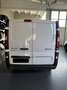 Renault Trafic T27 2.0 dCi 130CV PC-TN Furgone Ice netto Bianco - thumbnail 11