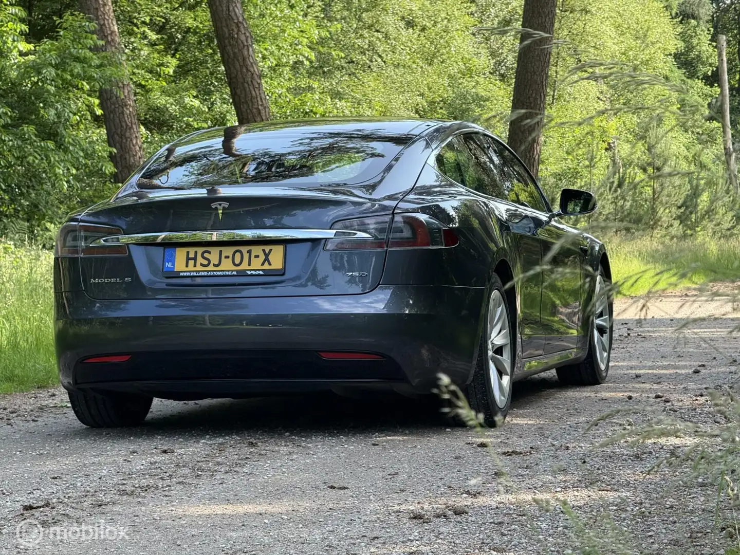 Tesla Model S 75D Autopilot / Full Self Drive / Panoramadak Grey - 2
