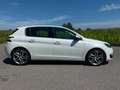 Peugeot 308 308 1,6 HDi 92 FAP Allure 17" Felgen Weiß - thumbnail 17