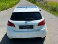 Peugeot 308 308 1,6 HDi 92 FAP Allure 17" Felgen Weiß - thumbnail 6