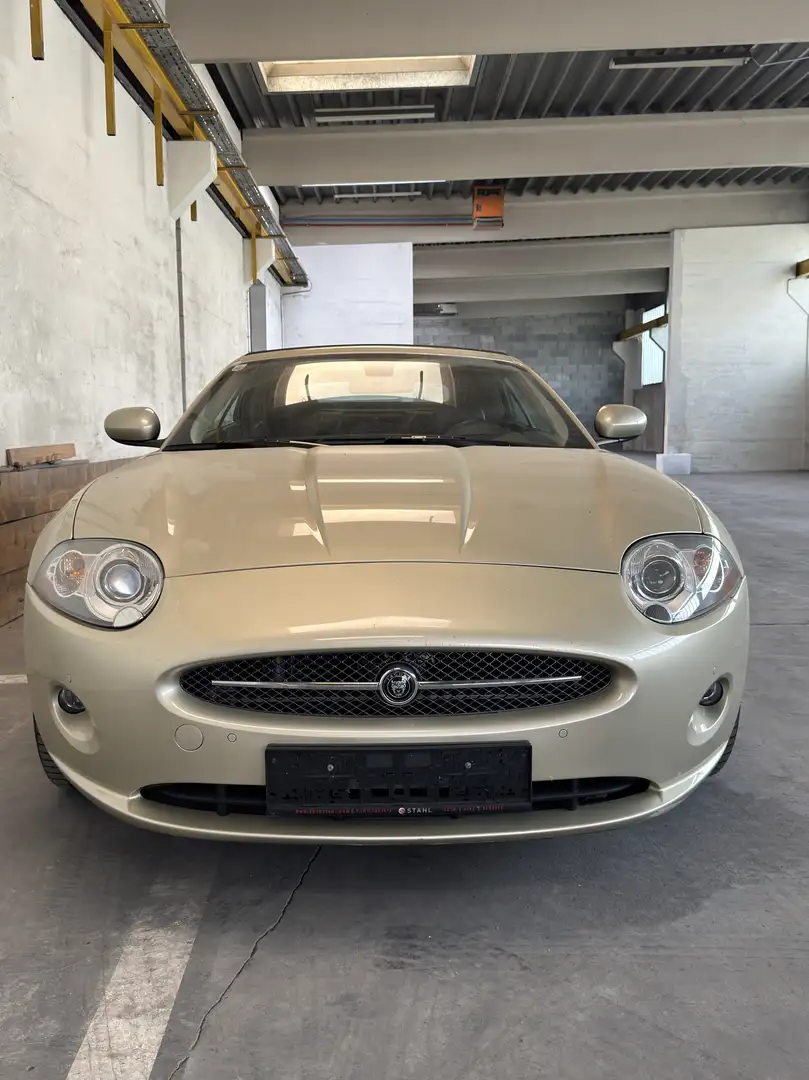 Jaguar XK8 Cabrio - 1
