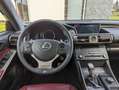 Lexus IS 300 300h F Sport Siyah - thumbnail 12