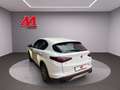 Alfa Romeo Stelvio Stelvio 2020 2.2 t Business Q4 190cv auto Bianco - thumbnail 6