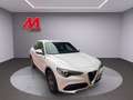 Alfa Romeo Stelvio Stelvio 2020 2.2 t Business Q4 190cv auto Bianco - thumbnail 3