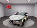 Alfa Romeo Stelvio Stelvio 2020 2.2 t Business Q4 190cv auto Bianco - thumbnail 1