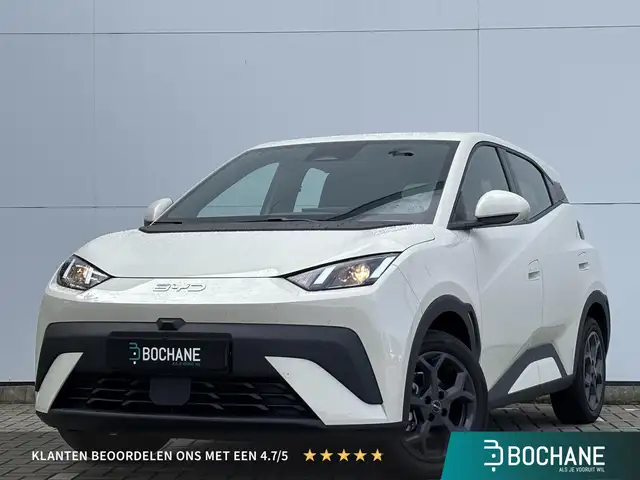 BYD Dolphin Surf
