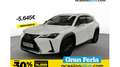 Lexus UX 250h Premium 2WD Blanco - thumbnail 1